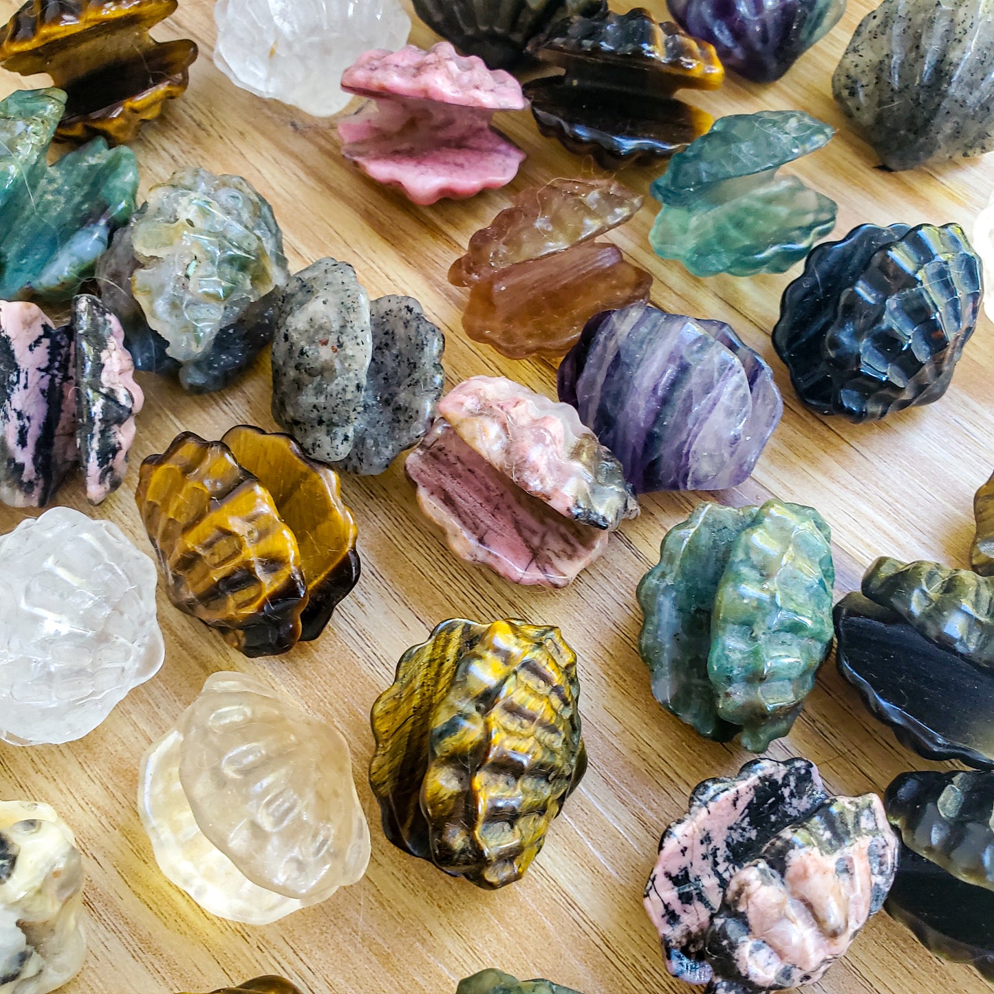 Clam Shell - Various Stones - Small