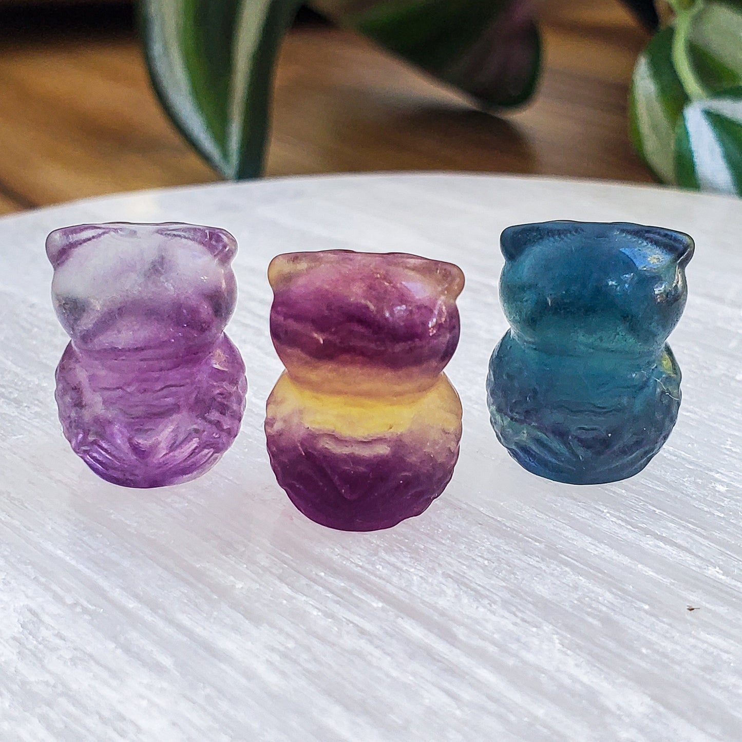 Owl - Fluorite - Mini