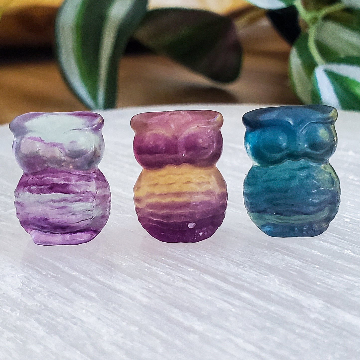 Owl - Fluorite - Mini