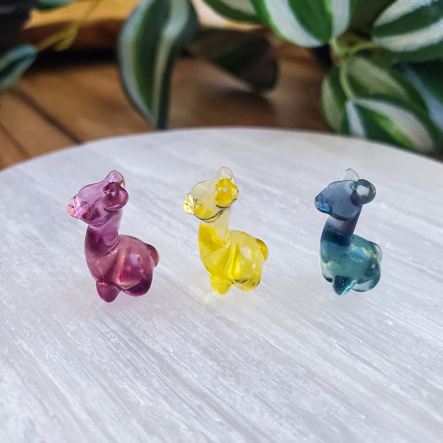 Llama - Fluorite - Mini