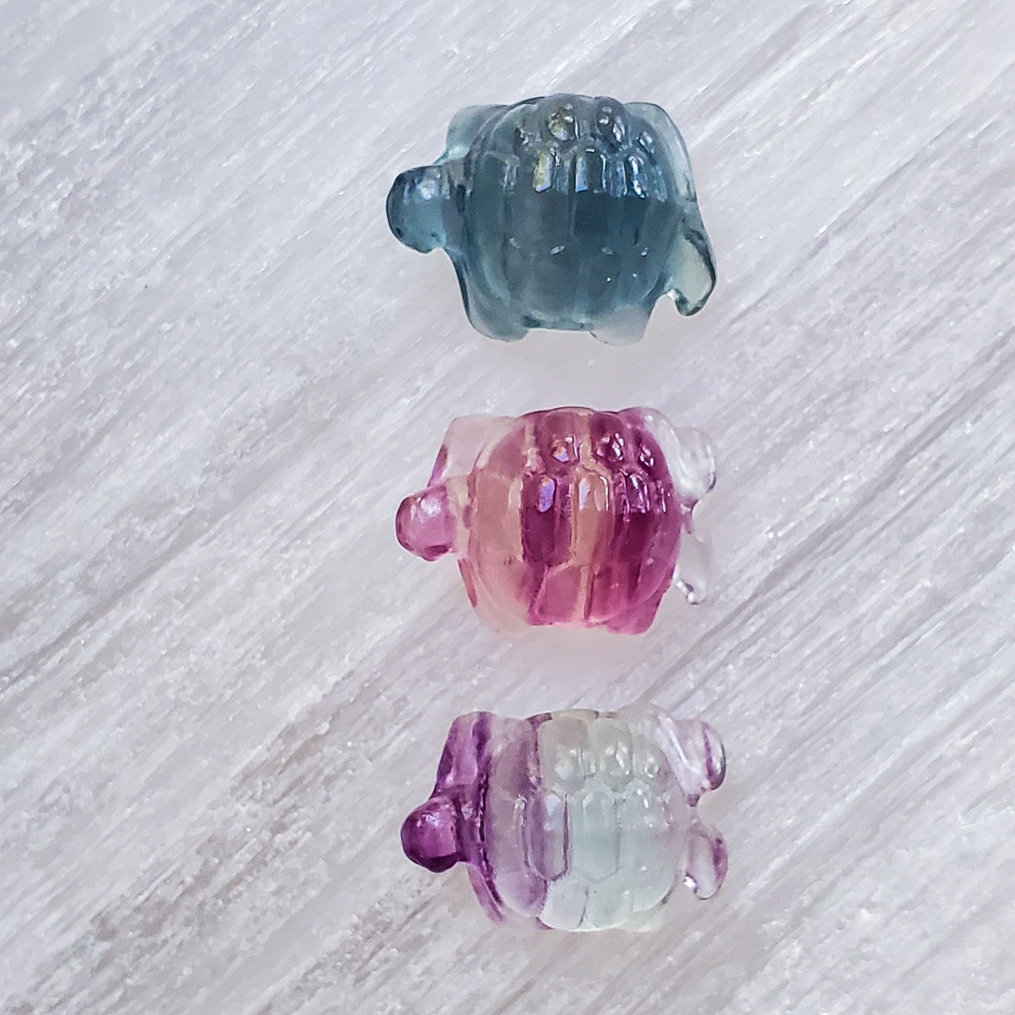 Tortoise - Fluorite - Mini