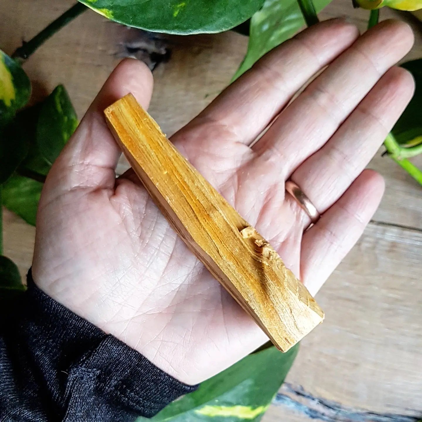 Palo Santo
