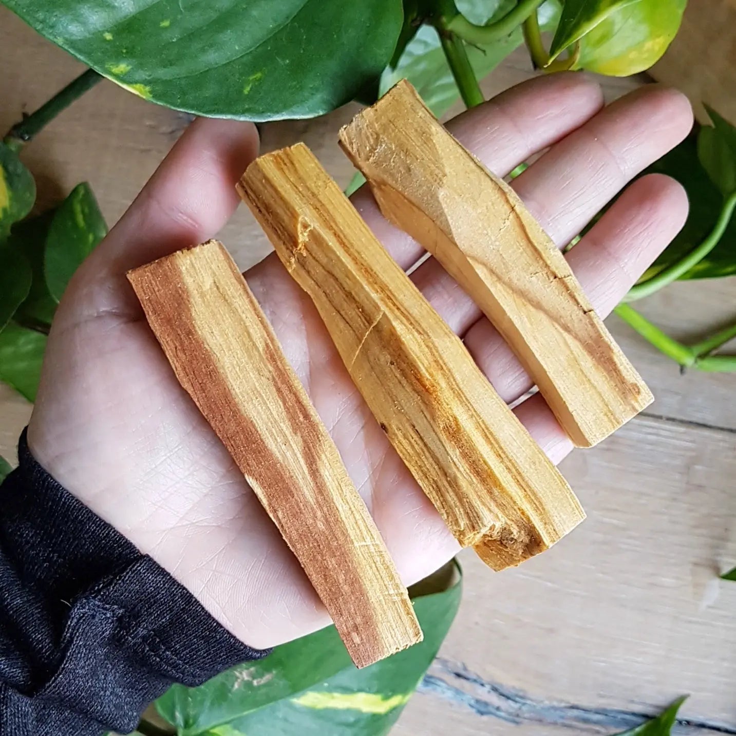 Palo Santo
