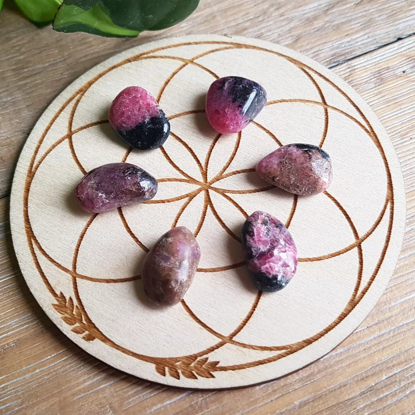 Rhodonite - Tumbled - 6 pack