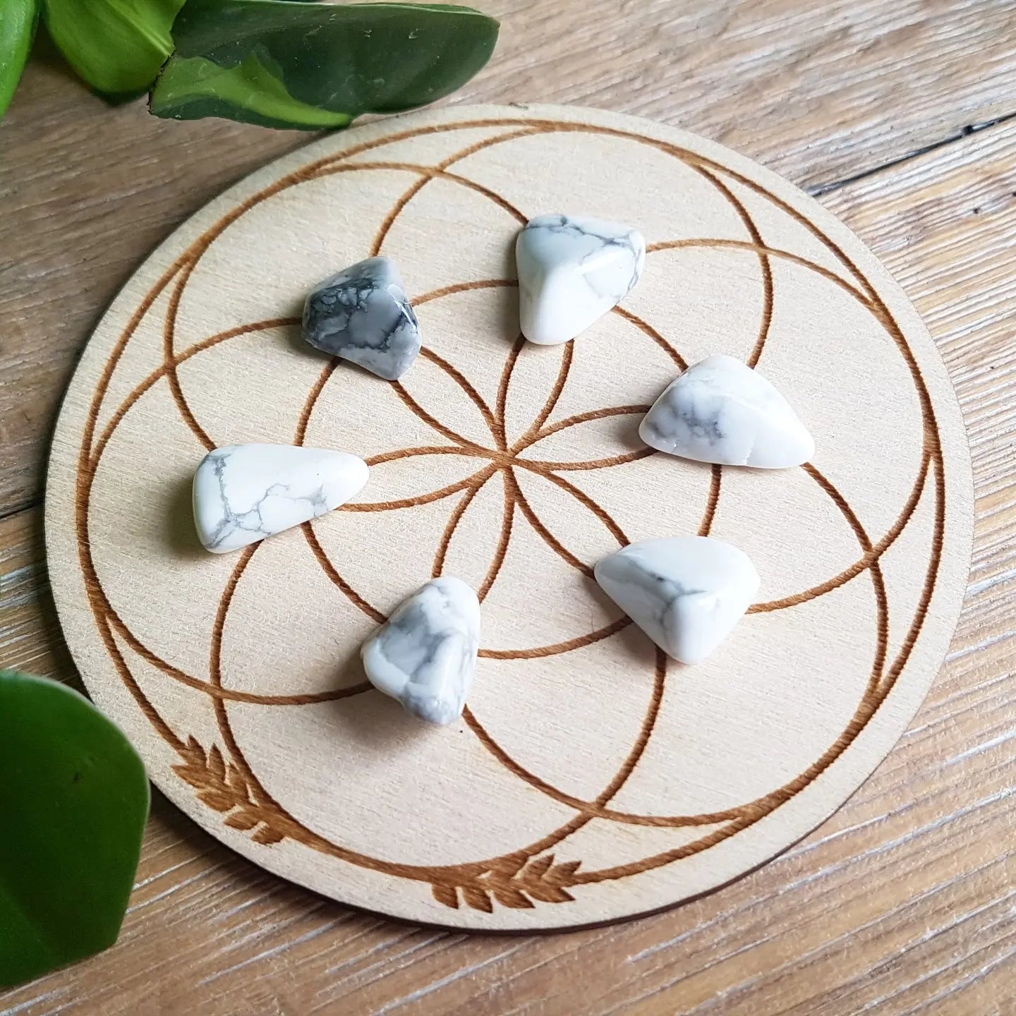 Howlite  - Tumbled - 6 pack
