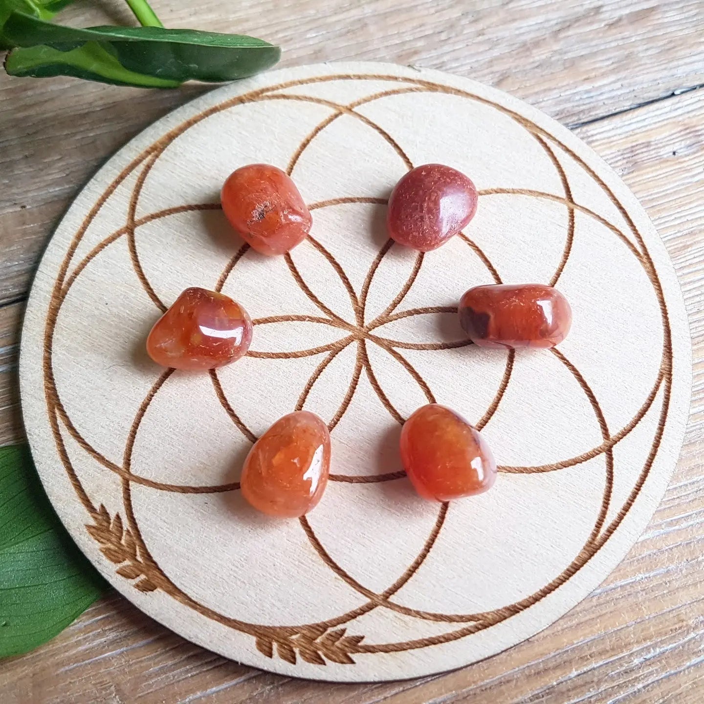 Carnelian - Tumbled - 6 pack