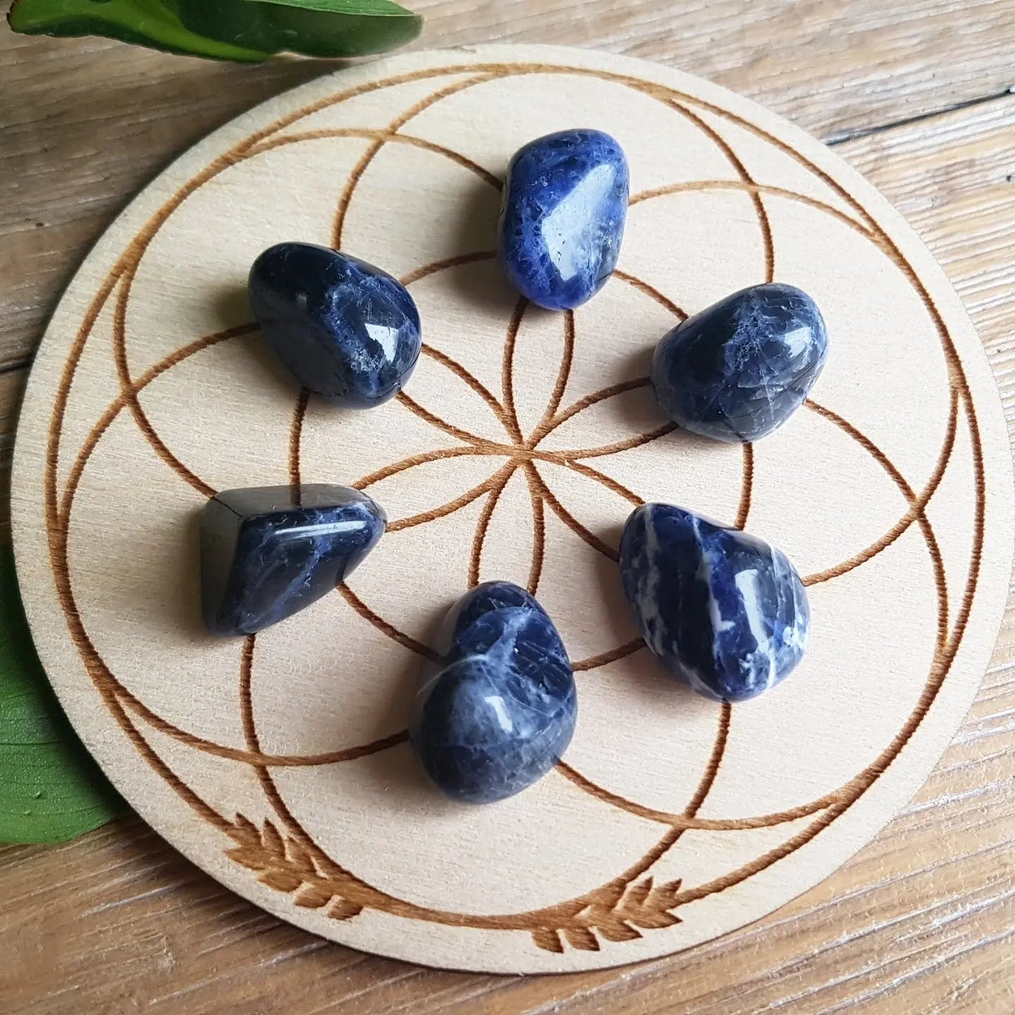 Sodalite - Tumbled - 6 pack