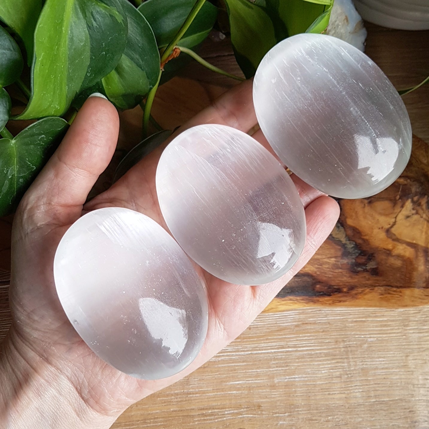 Selenite Palmstone - Polished