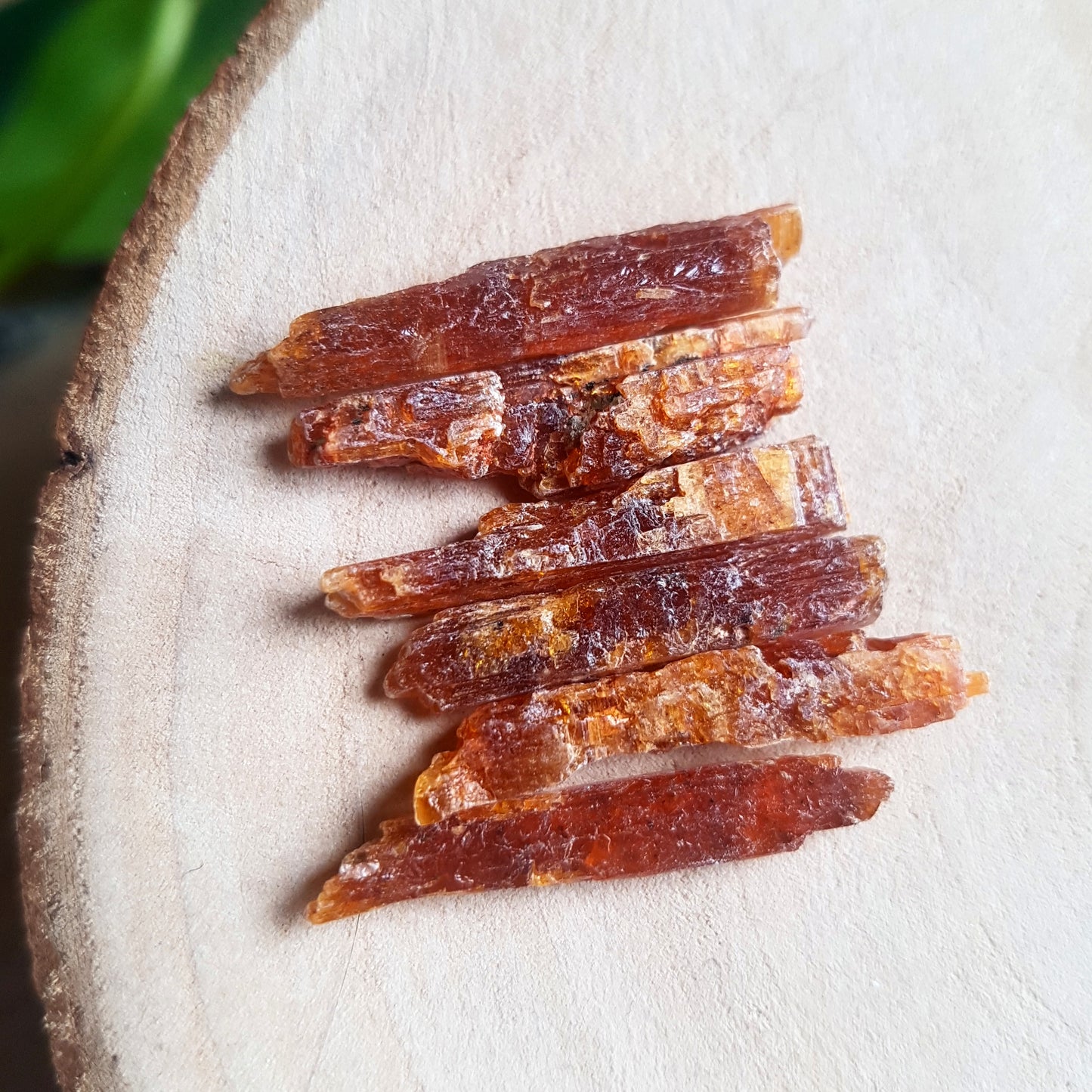 Orange Kyanite - Raw - 6 pack - Sunset Kyanite