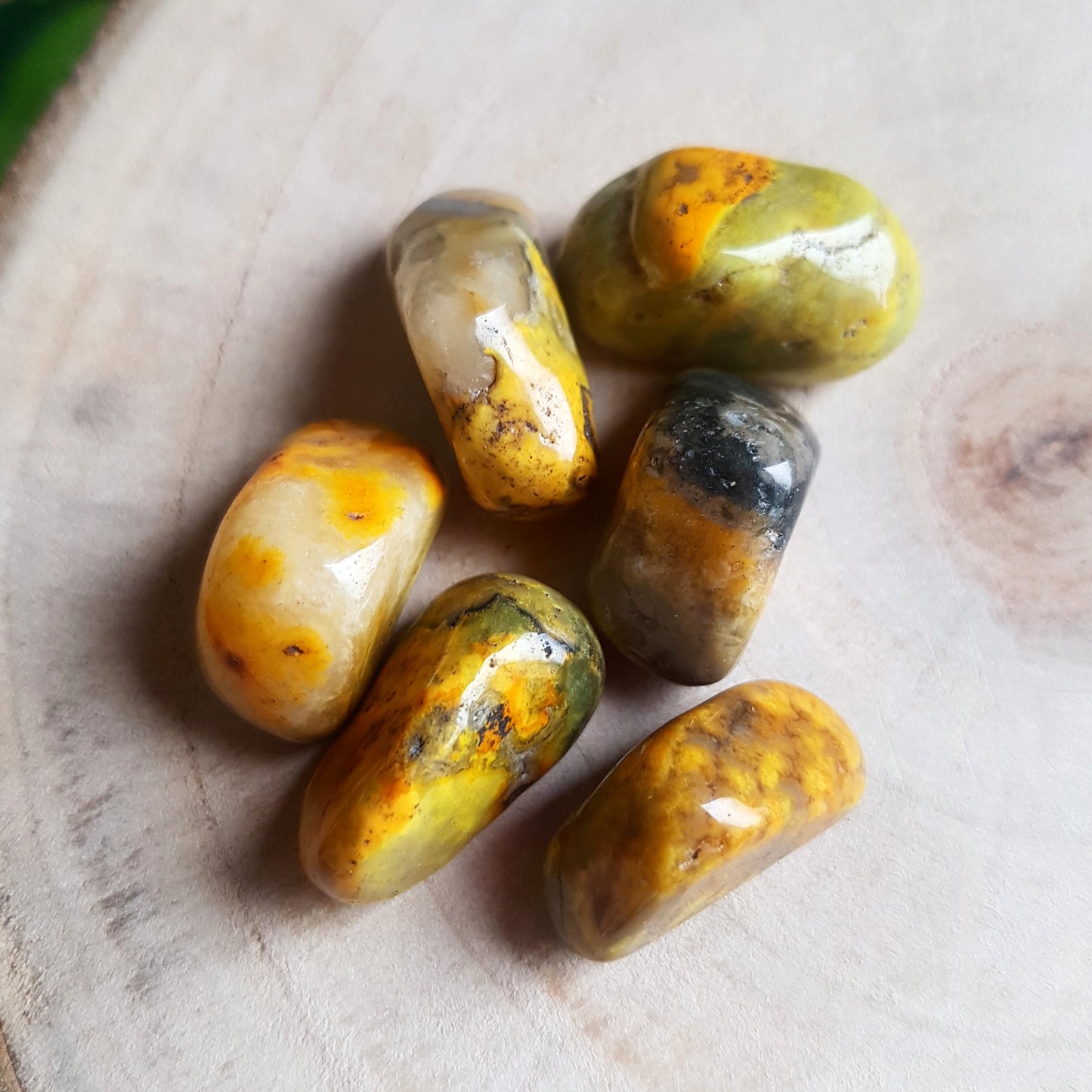 Bumble Bee Jasper - Tumbled - 6 pack