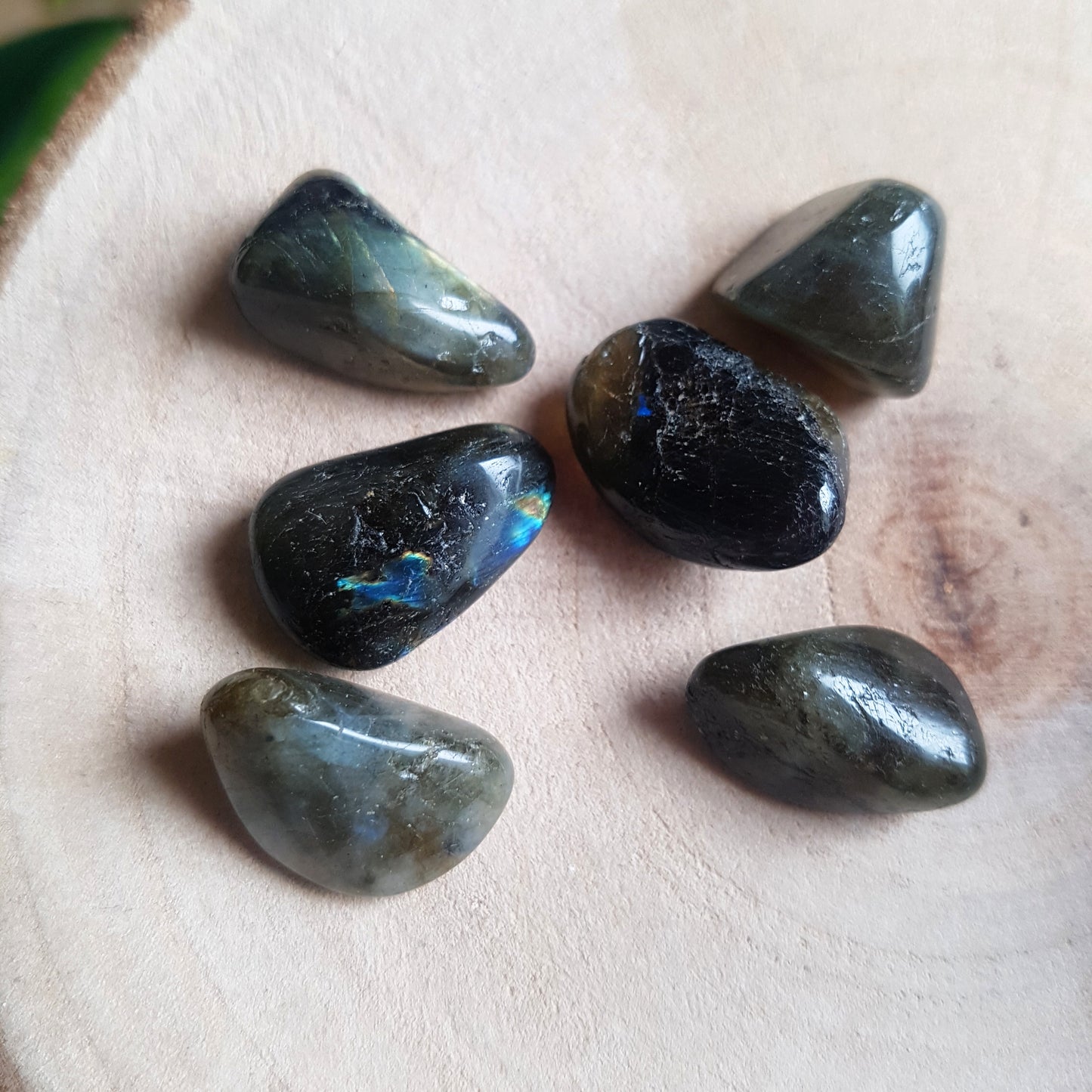 Labradorite - tumbled - 6 pack