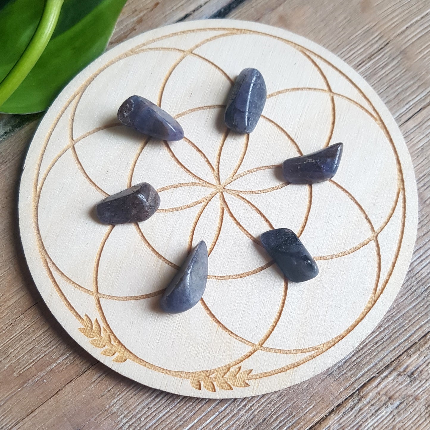 Tanzanite - Tumbled - 6 pack