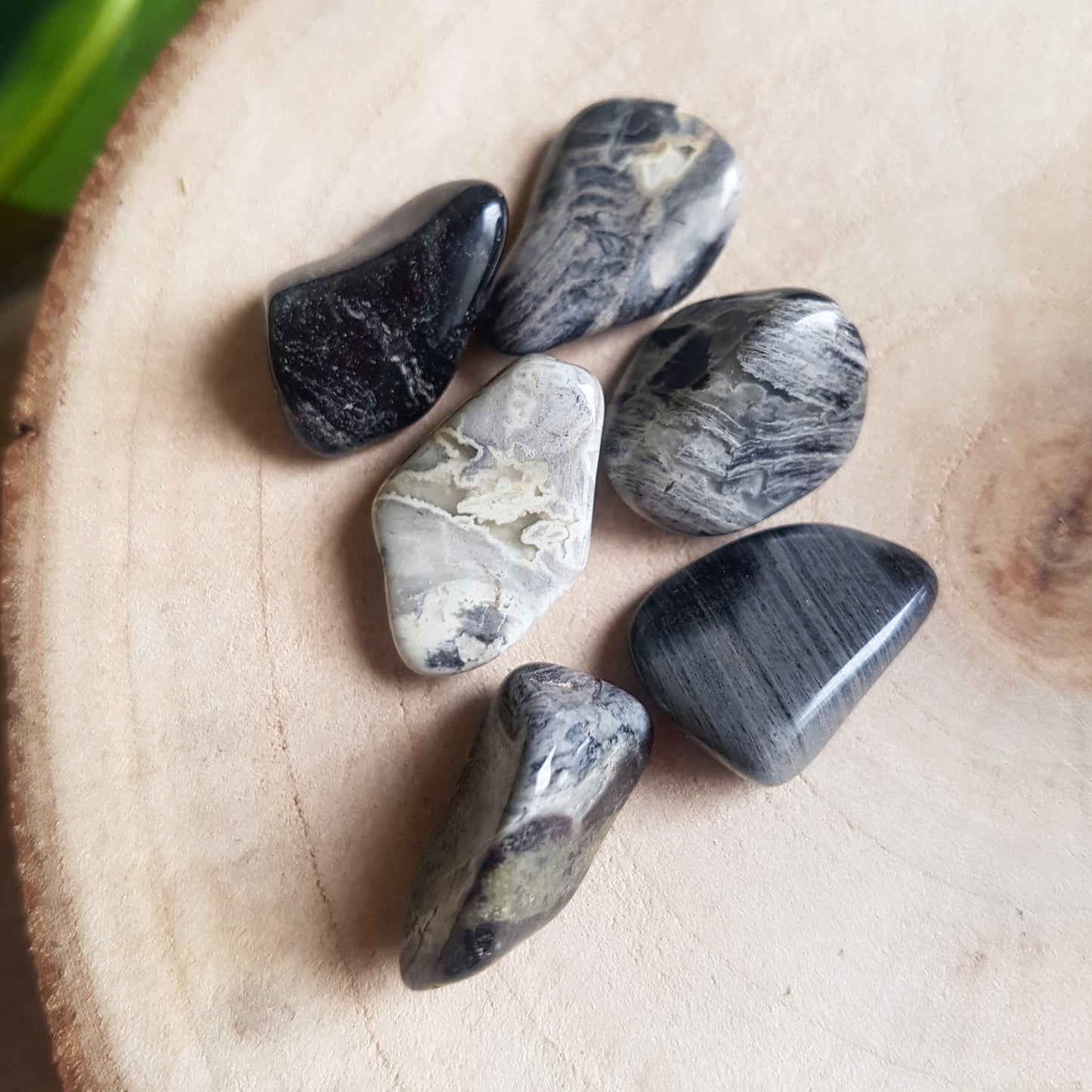 Silver Leaf Jasper - Tumbled - 6 pack