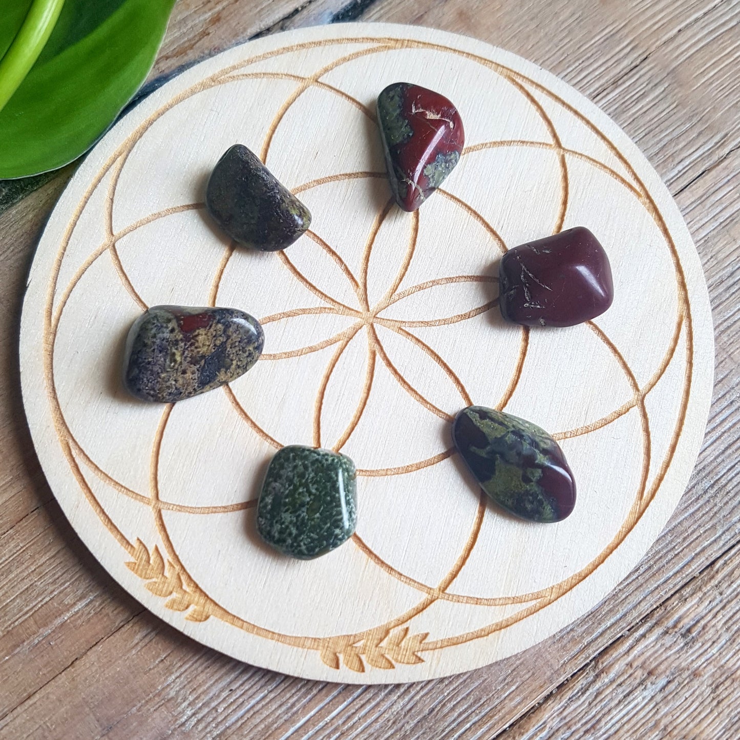 Dragon's Blood Jasper - Tumbled - 6 pack