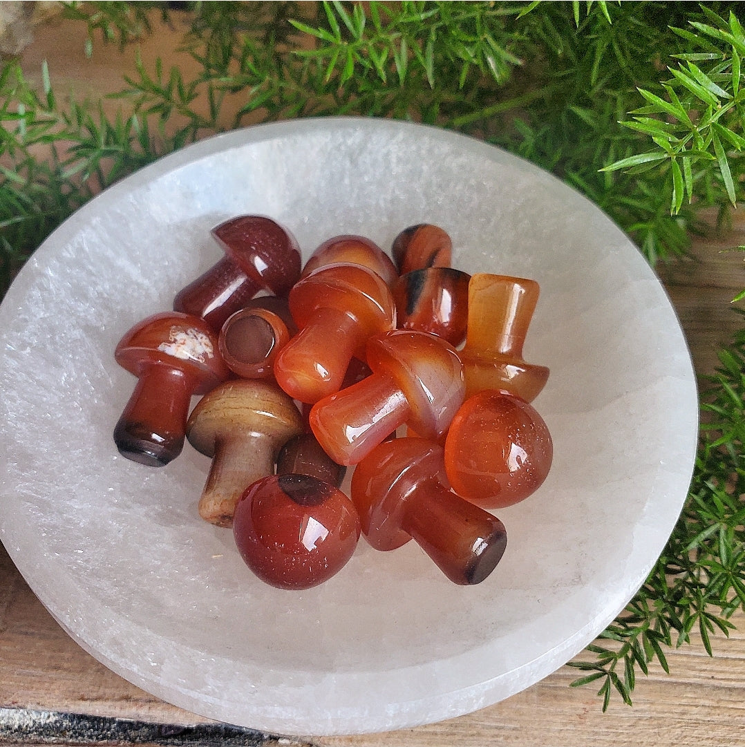Mushroom - Mini - Carnelian