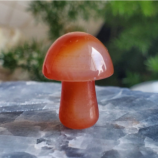 Mushroom - Mini - Carnelian
