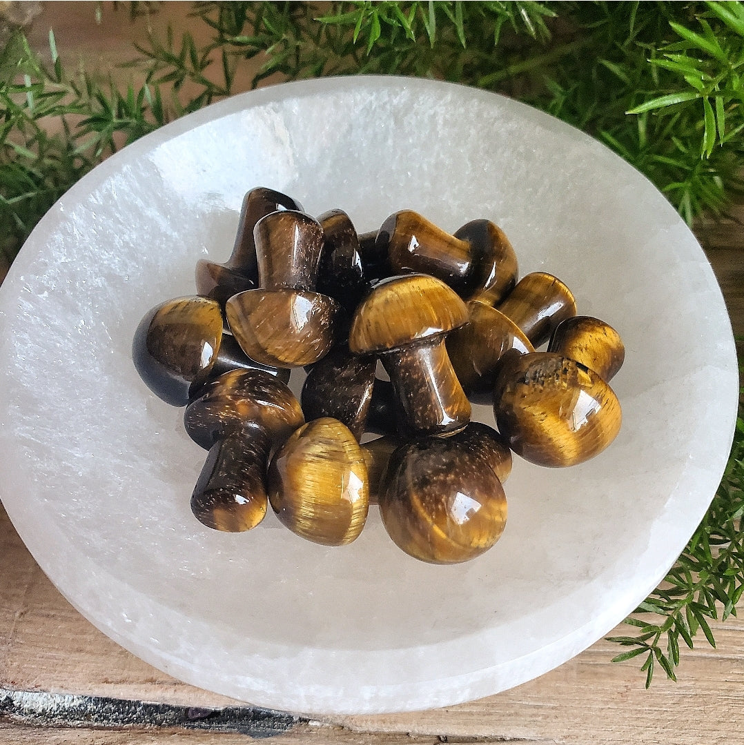 Mushroom - Mini - Tiger Eye