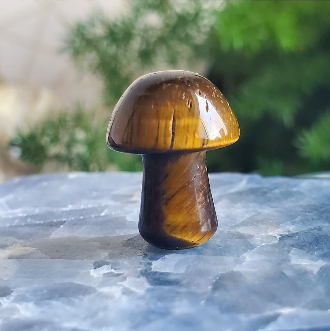 Mushroom - Mini - Tiger Eye