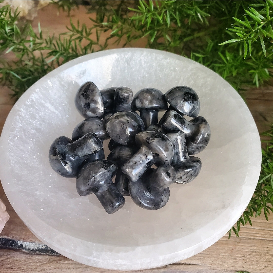Mushroom - Mini - Larvikite