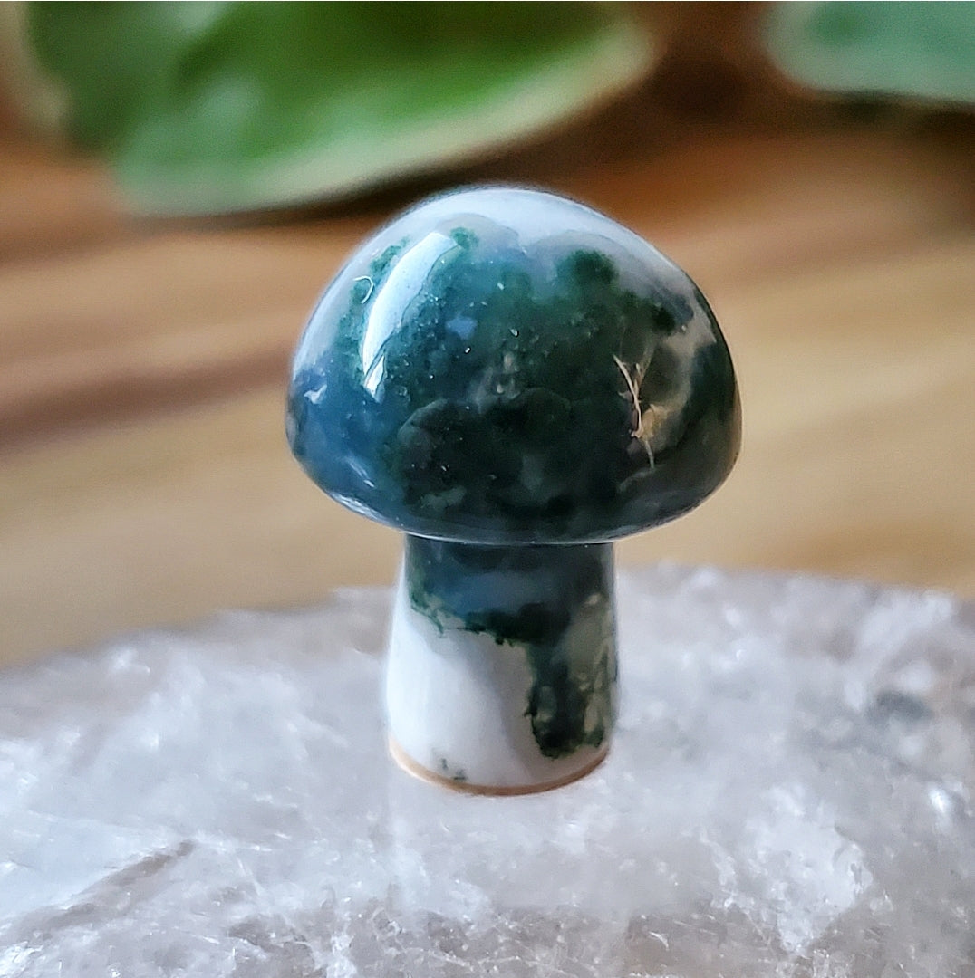 Mushroom - Mini - Moss Agate