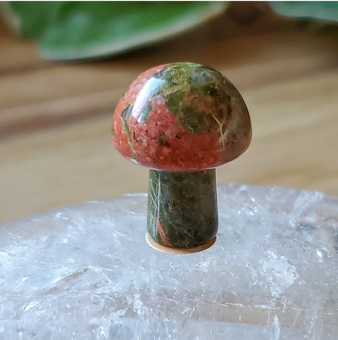 Mushroom - Mini - Unakite