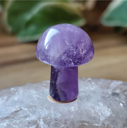Mushroom - Mini - Amethyst