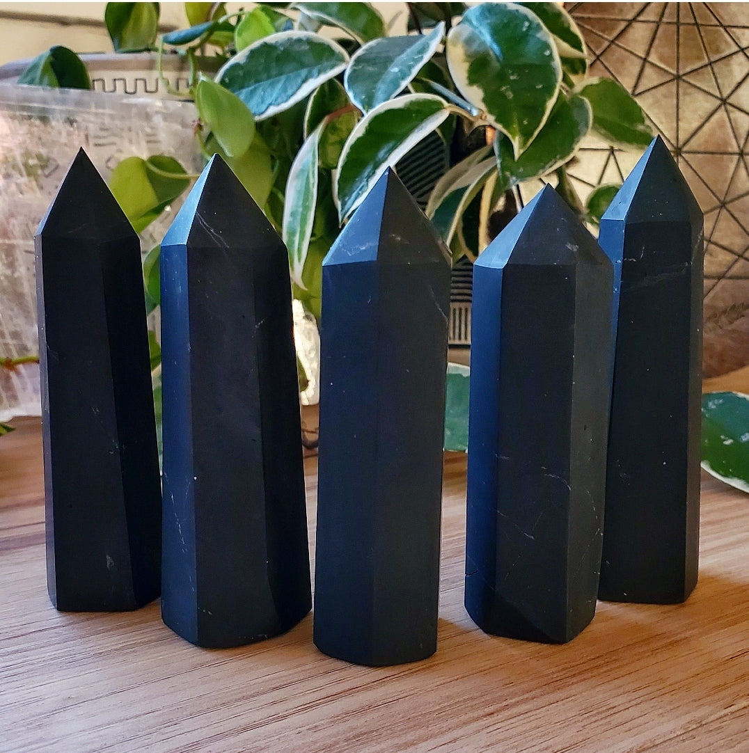 Shungite Points - Polished