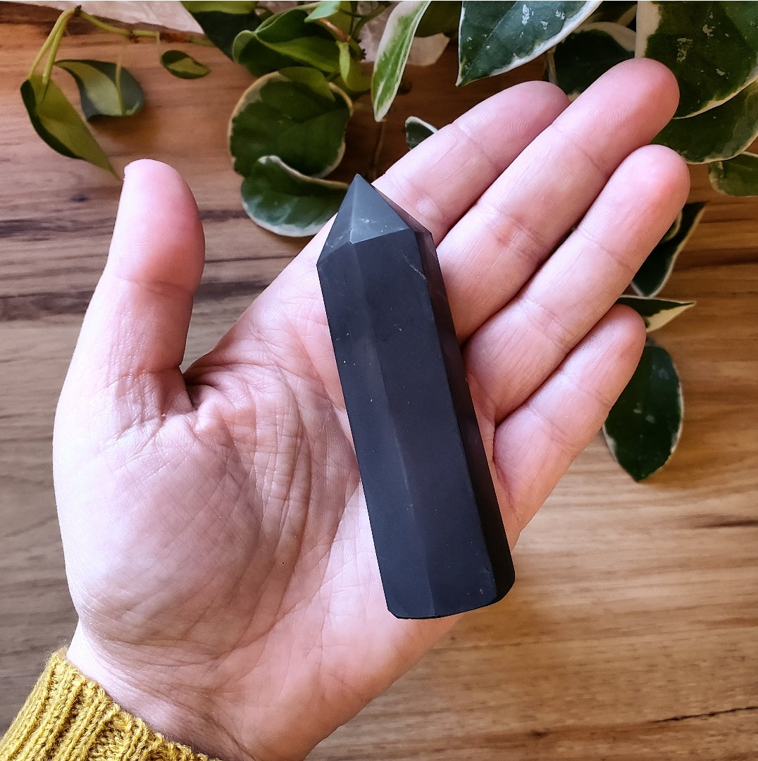 Shungite Points - Polished