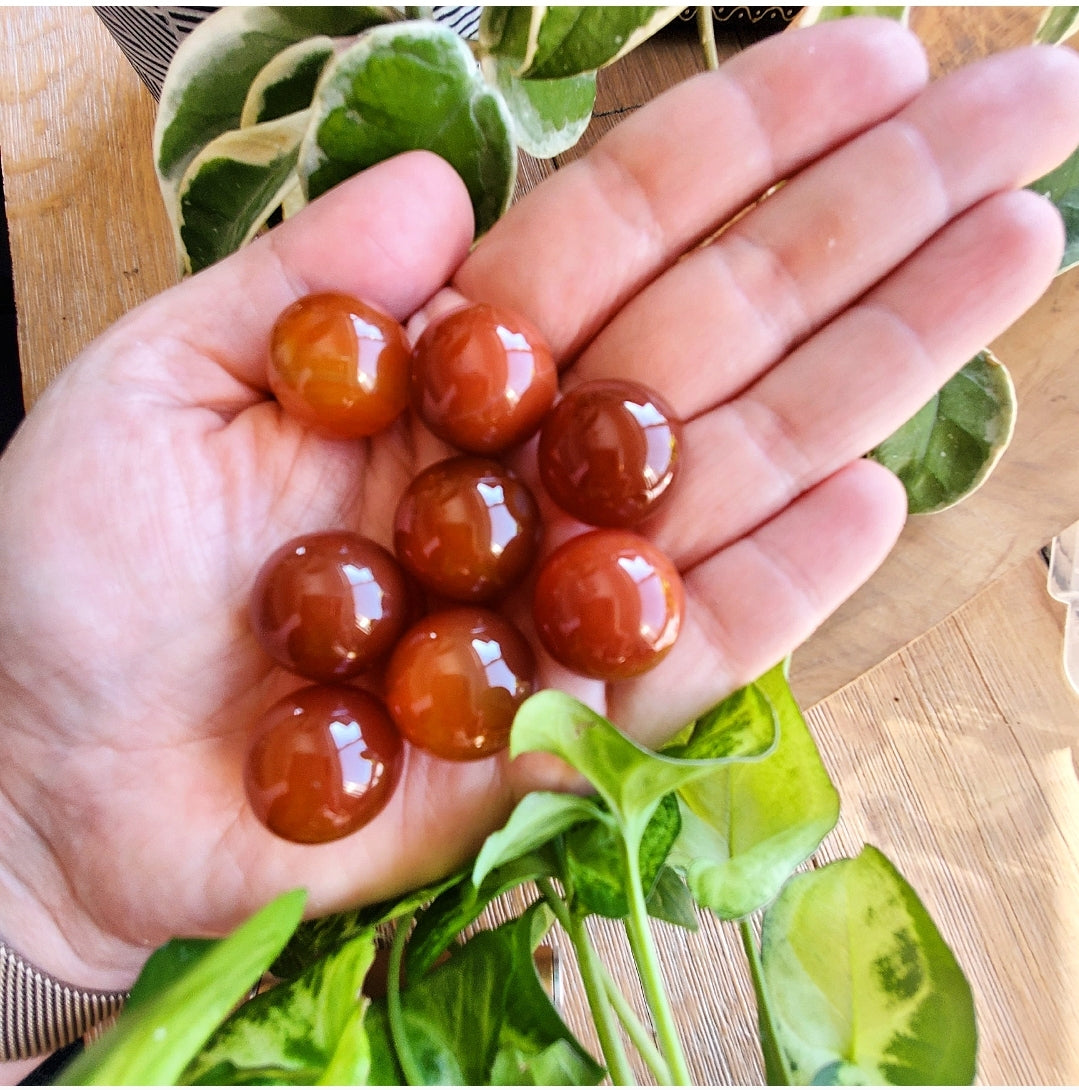 Carnelian Spheres (XS)