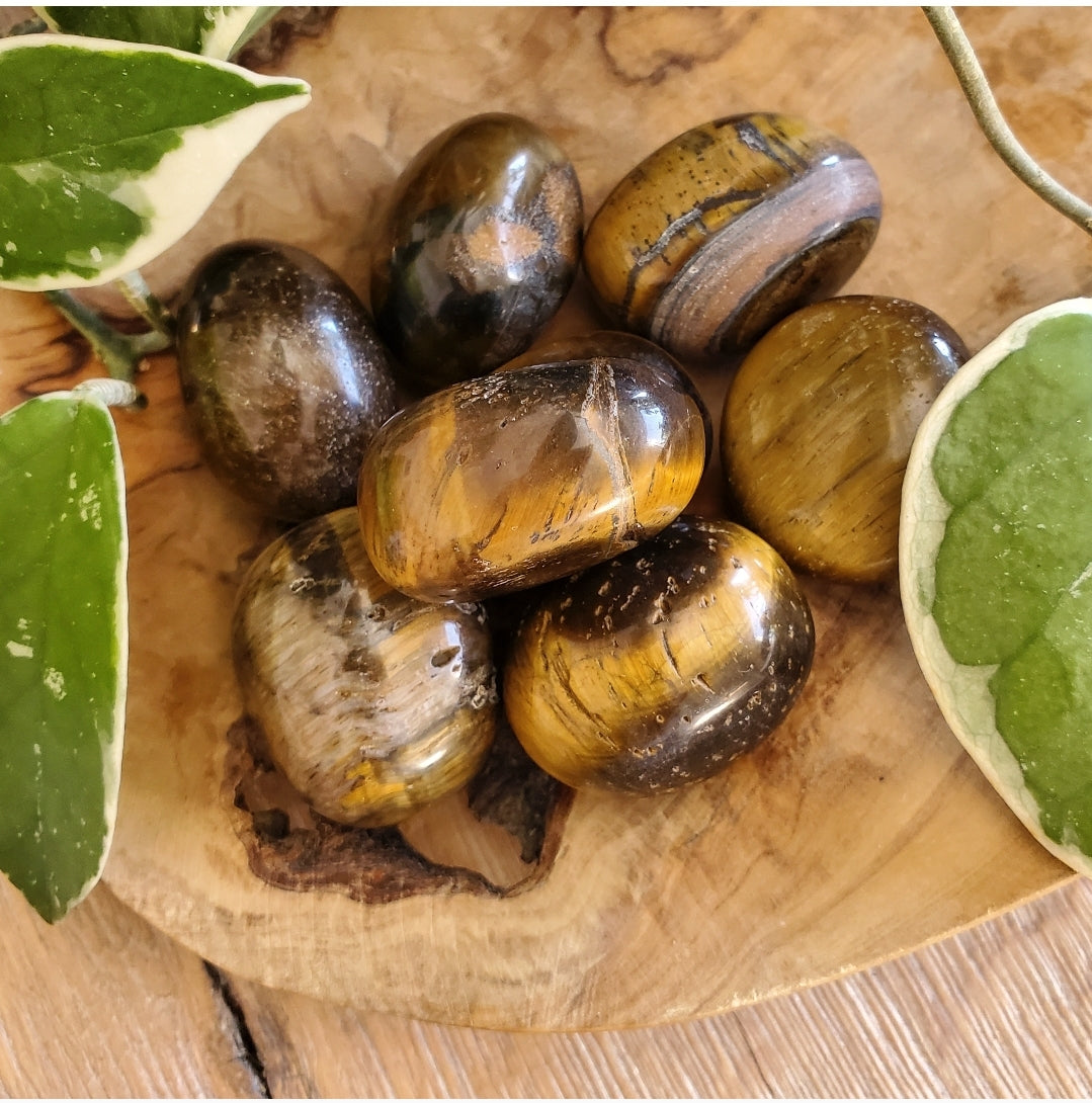 Tiger Eye Tumbled Stone (L) - Polished