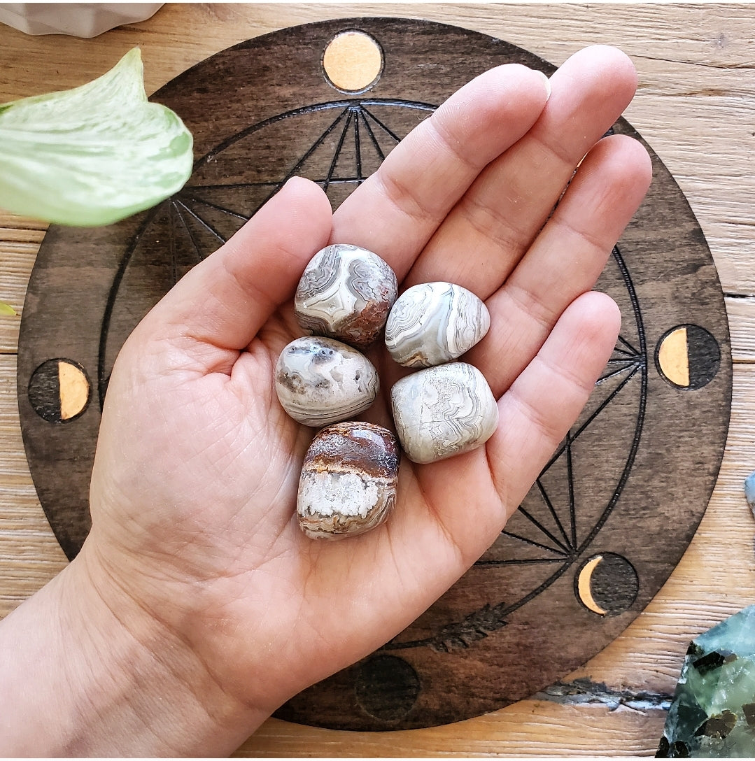 Mexican Lace Agate Tumbled Stone (M) - Polished