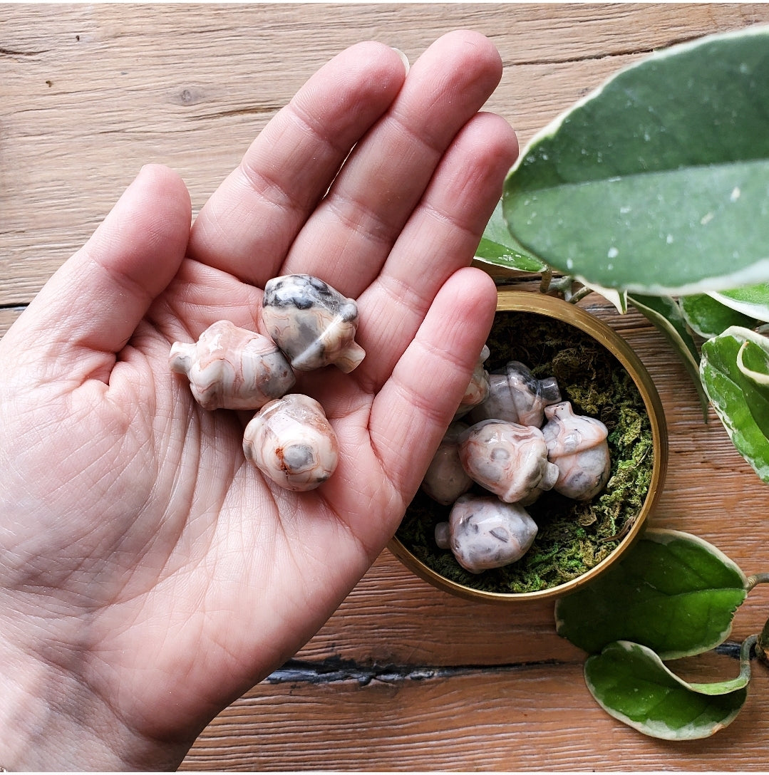 Pink Lace Agate Acorns - Polished