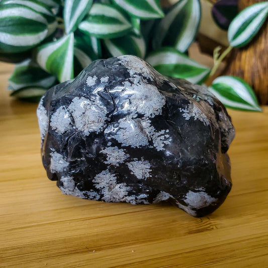 Snowflake Obsidian #1