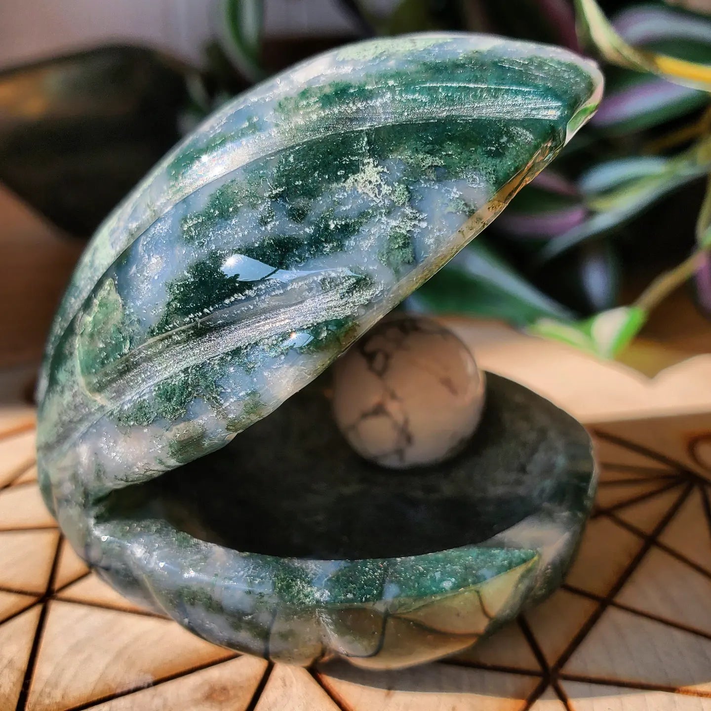 Moss Agate Clamshell with Howlite Pearl