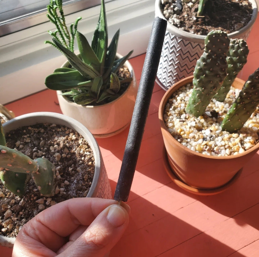 Cedar Hand-rolled Charcoal Incense Sticks - Cedarwood
