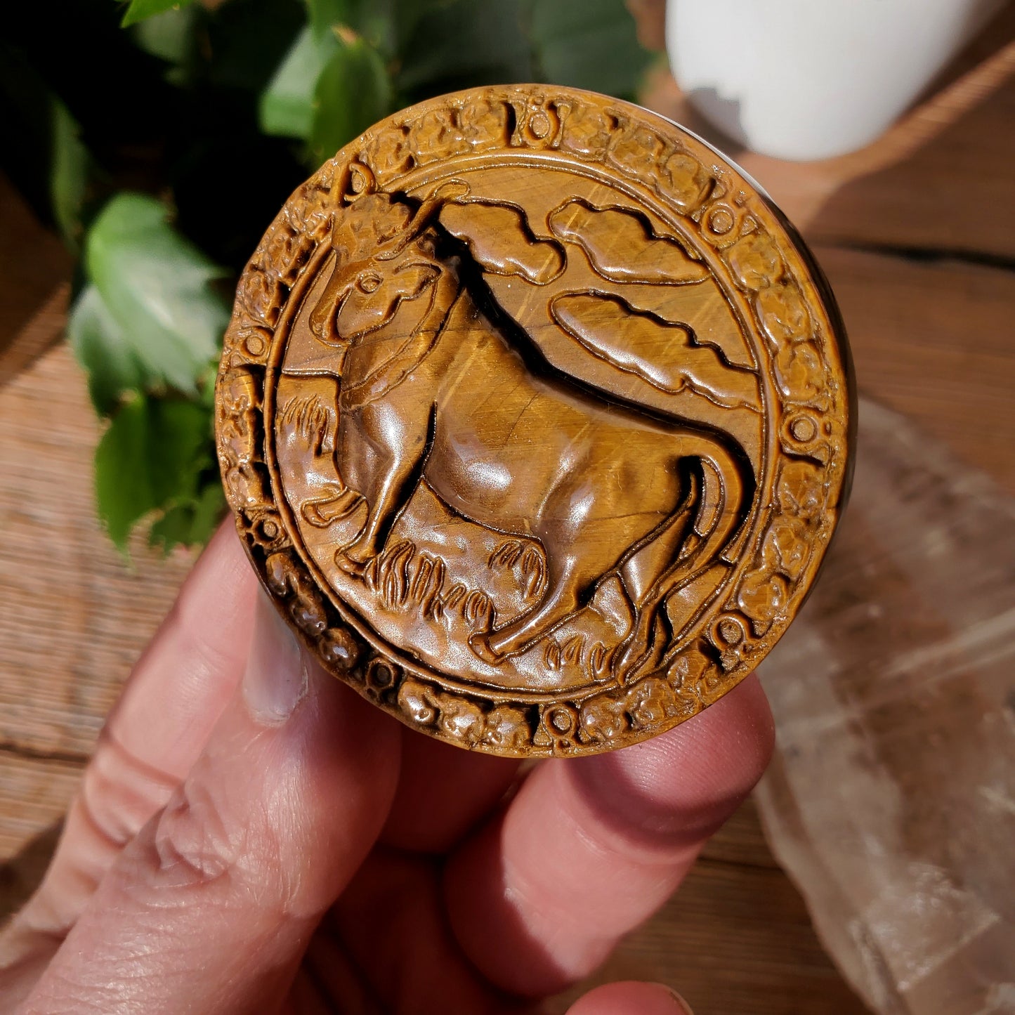 Tiger Eye Zodiac Medallions
