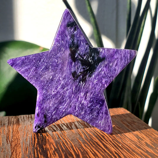 Charoite Star #2 (Polished) Russia