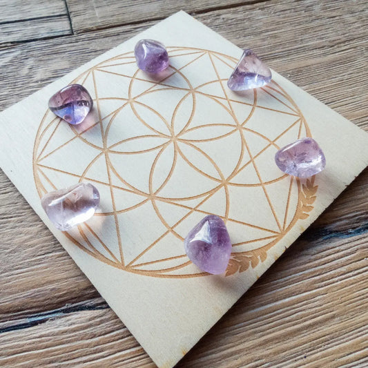 Amethyst Extra Quality - Tumbled - 6 pack