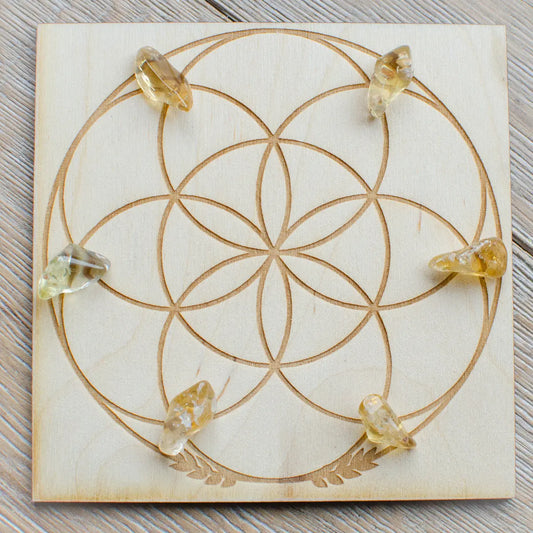 Citrine - Tumbled - natural - 6 pack