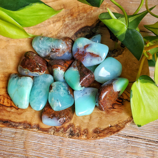 Seafoam Green Chrysoprase Tumbled Stone