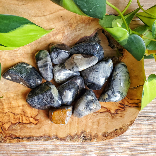 Silver Leaf Jasper Tumbled Stone - M