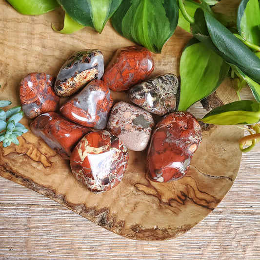 Brecciated Jasper Tumbled Stone - XL