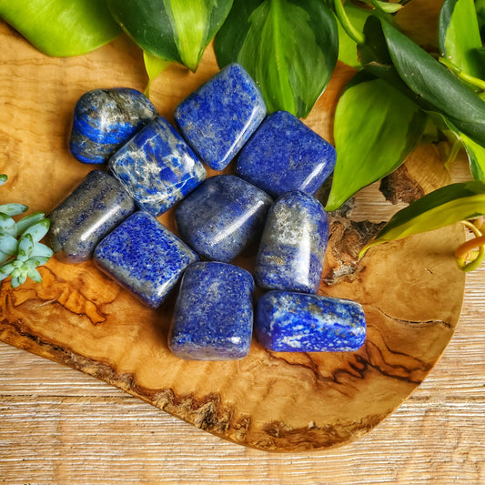 Lapis Lazuli Tumbled Stone - LG