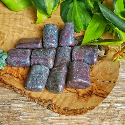 Ruby in Kyanite Tumbled Stone - LG