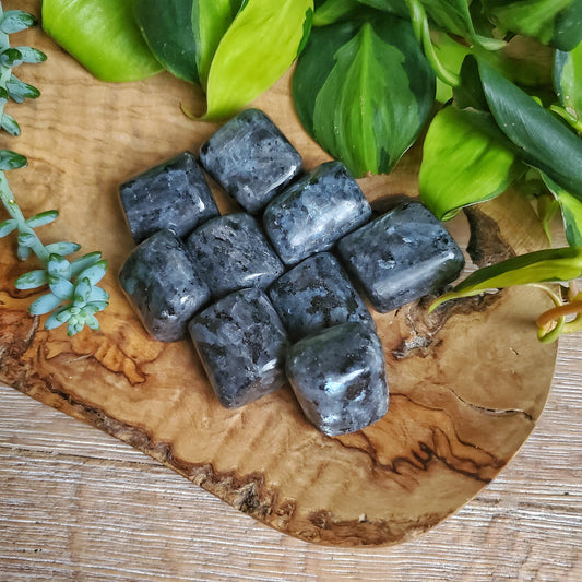 Larvikite Tumbled Stone - LG