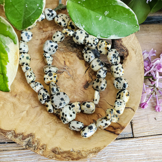 Dalmatian Jasper Bracelet (Tumbled stone)