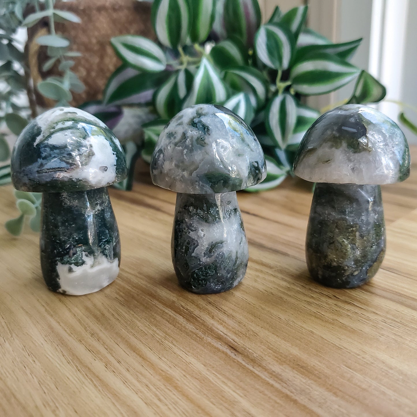 Mushroom - Moss Agate - Polished