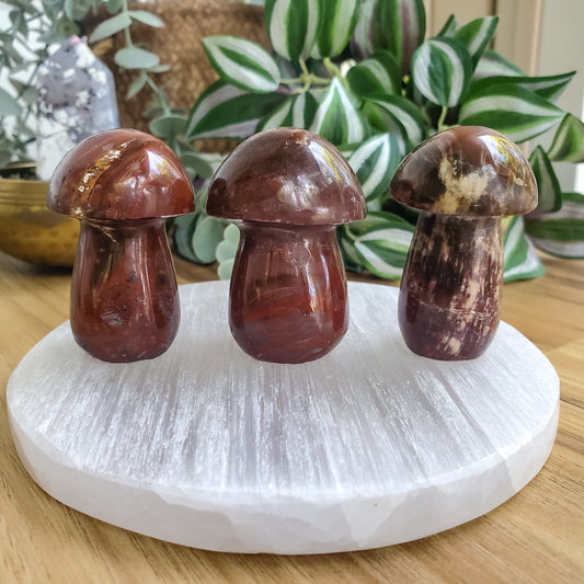 Mushroom - Petrified Wood - Polished