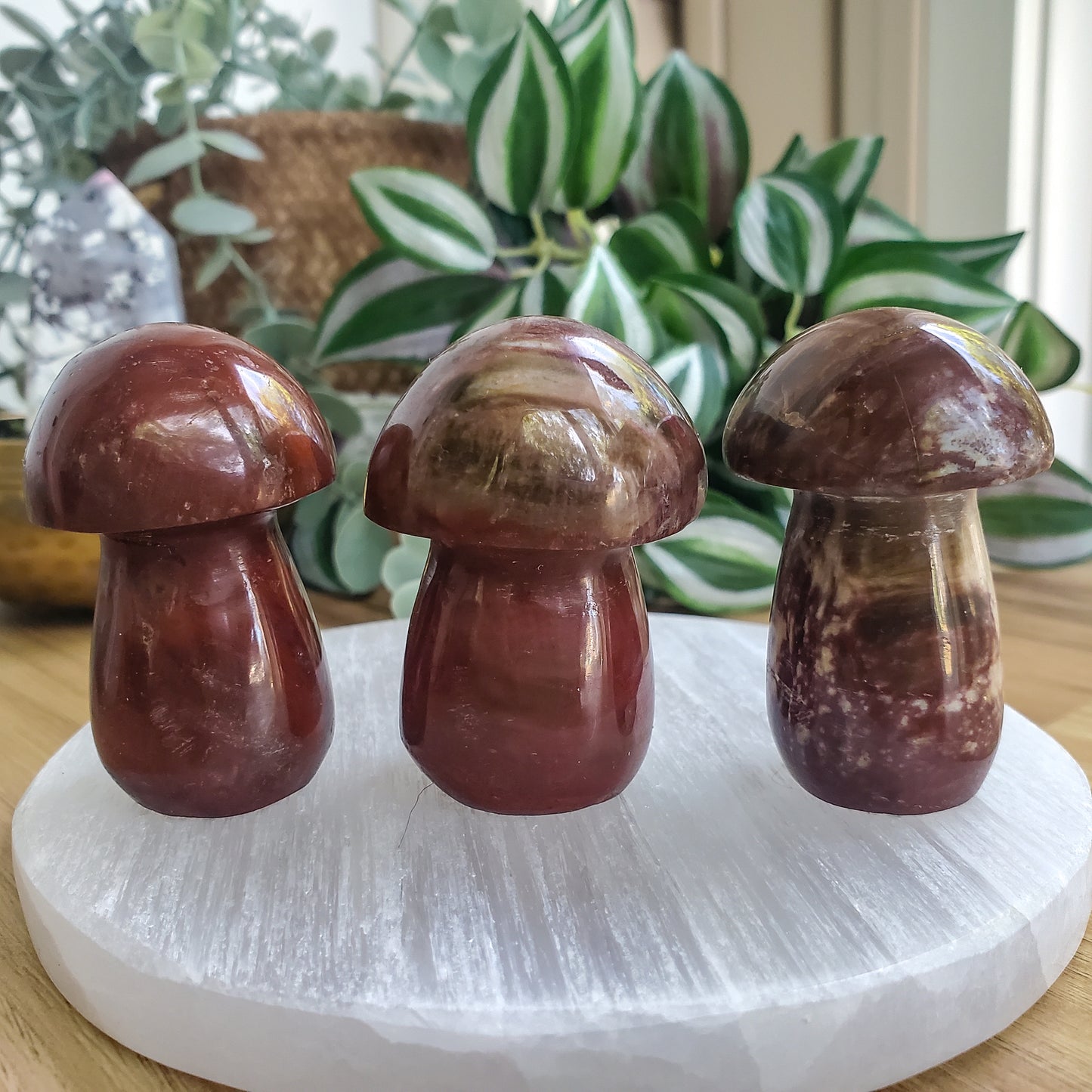 Mushroom - Petrified Wood - Polished
