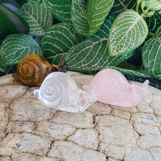 Snails - Rose Quartz, Quartz, & Tiger Eye - Small